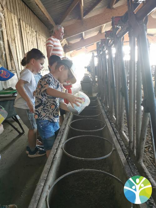 Sortie à la ferme pour la classe de petite section